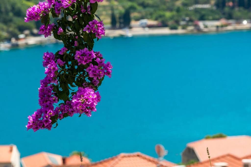 Villa Mardia- Sea View Infinity Pool Built 2023 Zaton  Exteriér fotografie